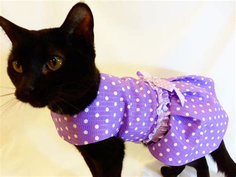 Cat Dress Cat Clothes Lavender And White Polka Dot Cat Dress Pet
