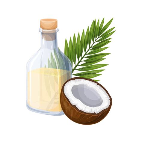 Coconut With Coconut Oil In Glass Bottle Stock Vector Illustration Of