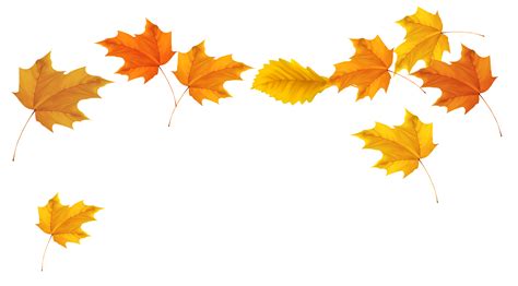Falling Leaves Transparent Background Free Psd Templates Png