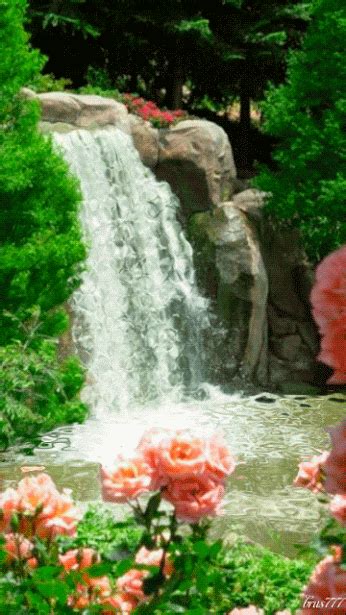 Search, discover and share your favorite flower gifs. Friends - | Forest waterfall, Beautiful nature, Waterfall