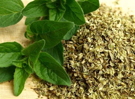 How To Dry Oregano 4 Quick Methods With Instructions Fine Garden Tips