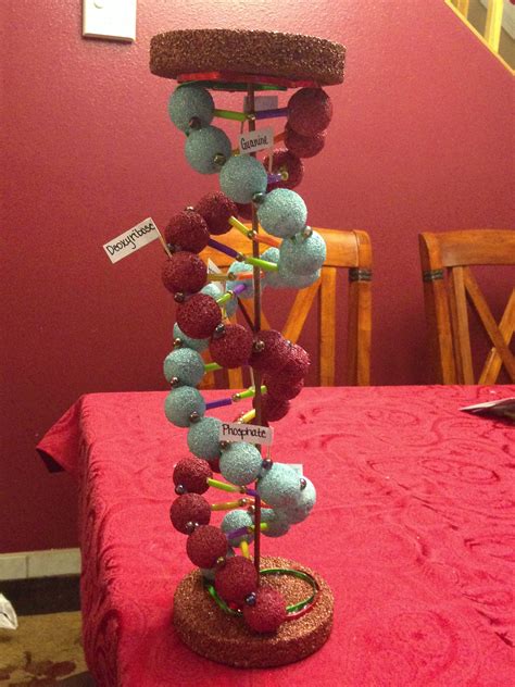 Pin By Felicia Ybarra On School Projects Biology Projects Dna Model