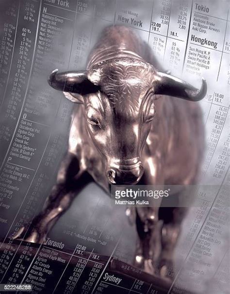 Bull Stock Market Photos And Premium High Res Pictures Getty Images