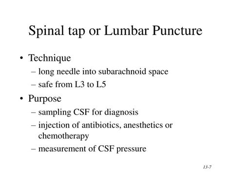 Ppt The Spinal Cord And Spinal Nerves Powerpoint