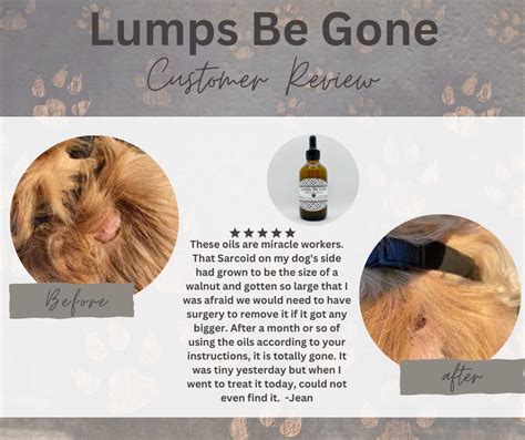 Lumps Be Gone Fatty Mass Dog Warts Lumps Bumps Natural Etsy In 2023