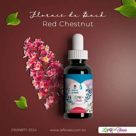 Floral Red Chestnut Para Que Serve