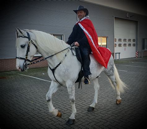 wit paard voor commercial evenement of ceremonie koetsen nl