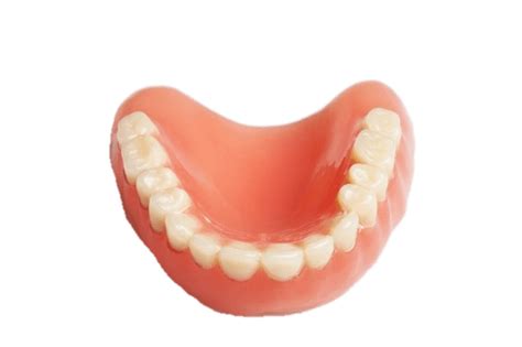 False Teeth Lower Denture Icons Png Free Png And Icons Downloads