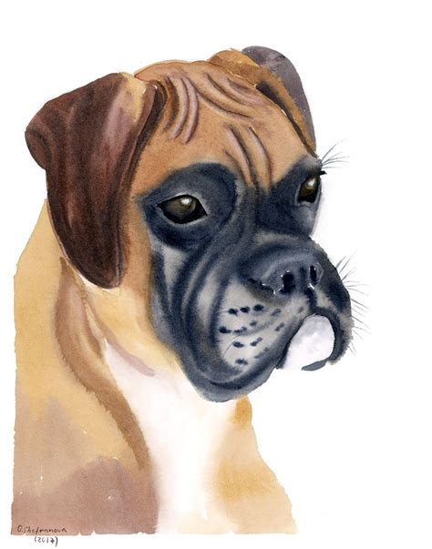 Boxer Dog Original Watercolor Painting Artfinder