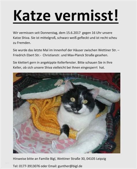 Maybe you would like to learn more about one of these? Vermisstenanzeige Katze Vorlage Wunderbar ...