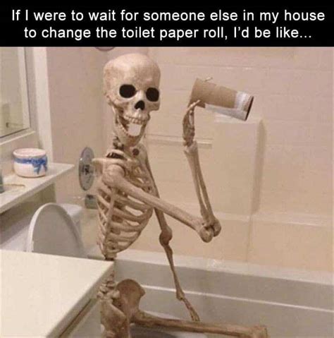 Funny Bathroom Memes Photos Cantik