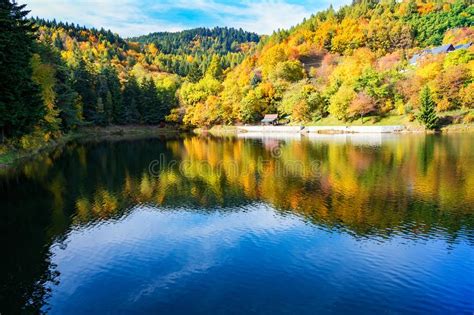 Beautiful Reflection Of Colorful Trees In Water Of Lake During Autumn