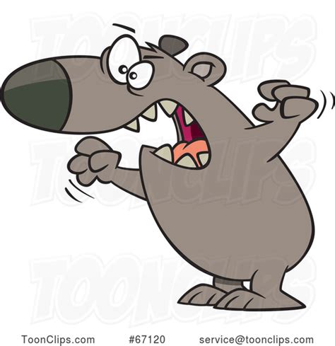 Cartoon Angry Mama Bear 67120 By Ron Leishman
