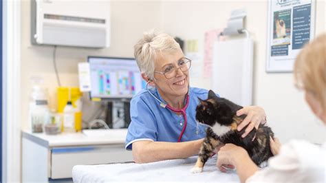We are excited to be a part of the. Park View Veterinary Hospital Pet Advice | Vets in Lincoln ...