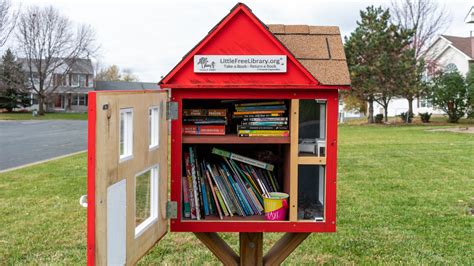 Free Little Library Lissimore Photography