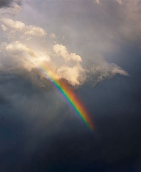 Raining Rainbows Smithsonian Photo Contest Smithsonian Magazine