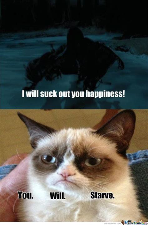 Harry Potter And Grumpy Cat My Two Favorite Things In One Harry