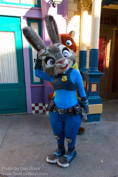 Judy Hopps At Disney Character Central