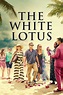 The White Lotus (TV Series 2021- ) - Posters — The Movie Database (TMDB)