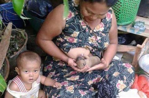 Breastfeeding Animals By Humans The Milk Of Human Kindness