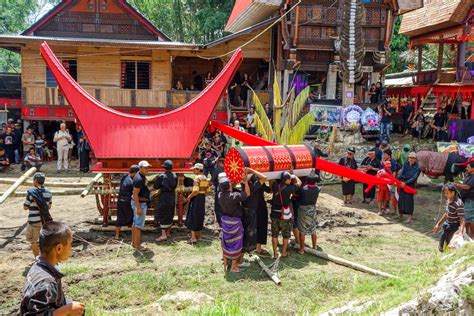 Tana Toraja Funeral Ceremony Coffin Transportation Travel Badger