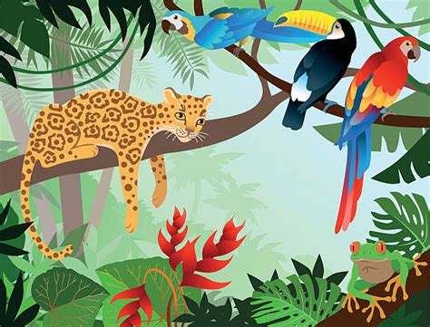 Amazon Rainforest Animals Clip Art