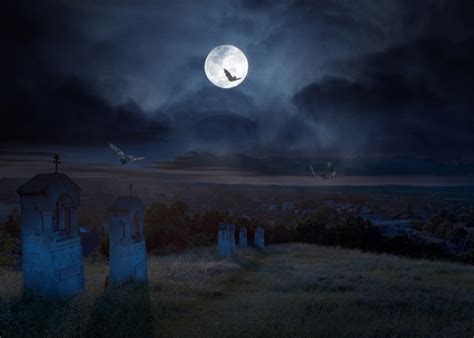 Full Moon Dark Night Terrifying Graveyard Halloween Photo Backdrop
