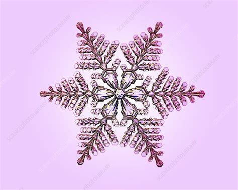 Stellar Dendrite Snowflake Light Micrograph Stock Image C0480137