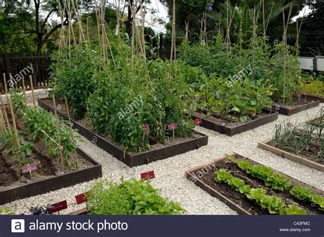 10 Tomato Garden Ideas Simphome Garden Layout Home Vegetable