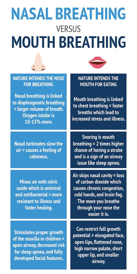 Why Breathing Matters — Better Breathing Mn