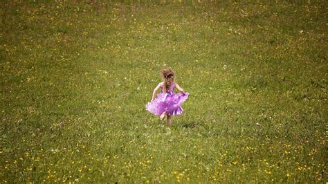 무료 이미지 자연 잔디 사람 식물 소녀 들 목초지 햇빛 아침 잎 녹색 가을 어린이 인간의 긴 머리