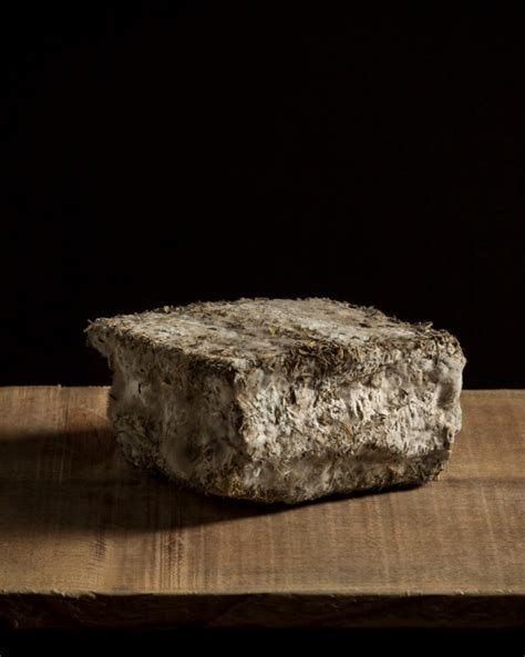 Fromage Corse Aux Herbes Brin Damour Fromageries Philippe Olivier