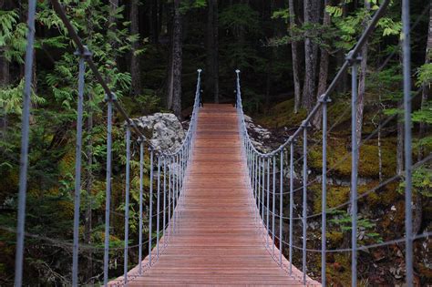 Free Images Tree Water Path Wood Suspension Bridge Jungle Hike