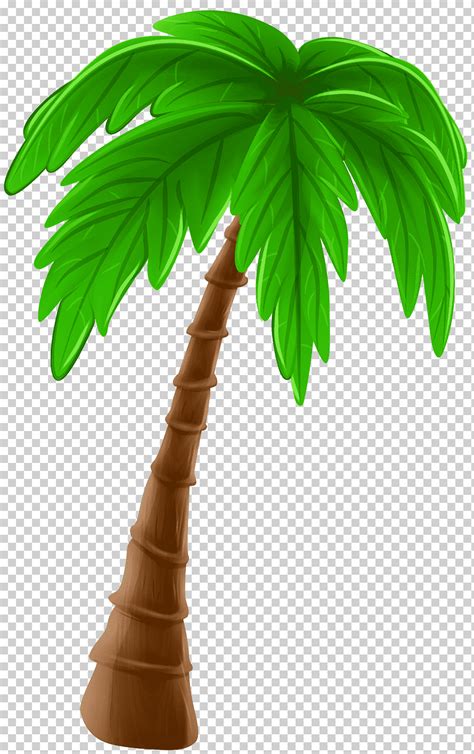 Descarga Gratis Ilustración De árbol De Coco Arecaceae Cartoon Tree