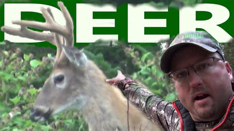 Perfect Spot Explained Maine Expanded Archery Hunting Youtube