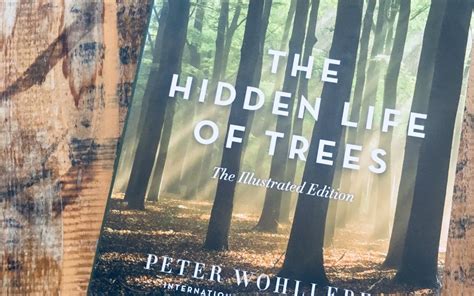 The Hidden Life Of Trees Illustrated Edition Quench Magazine
