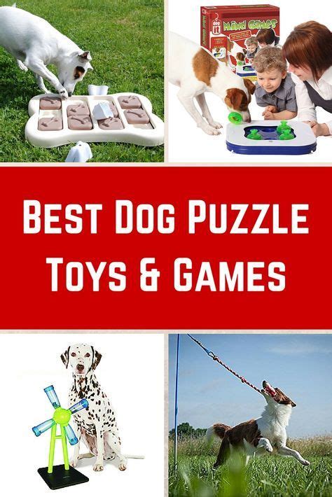 Best Dog Puzzle Toys And Dog Games My Dogs Name Dog Puzzles Dog