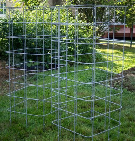 How To Build A Super Sturdy Tomato Cage Project The Homestead Survival