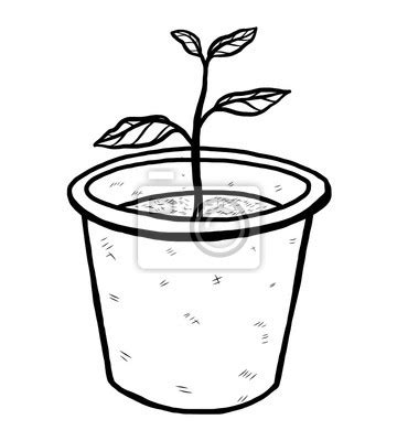 Image de Fleur Pot De Fleur En Dessin