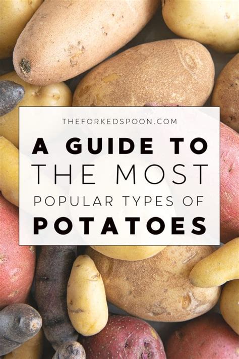 Potato Types A Guide To Popular Types Of Potatoes The Forked Spoon