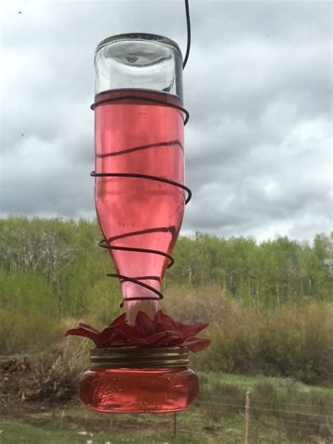 By jsyndergaard in craft mason jars. Dirt Road Renaissance: DIY mason jar and bottle hummingbird feeder