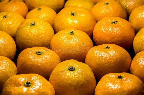 Glossy Surface Texture Of Freshness Orange Fruits Stock Image Image