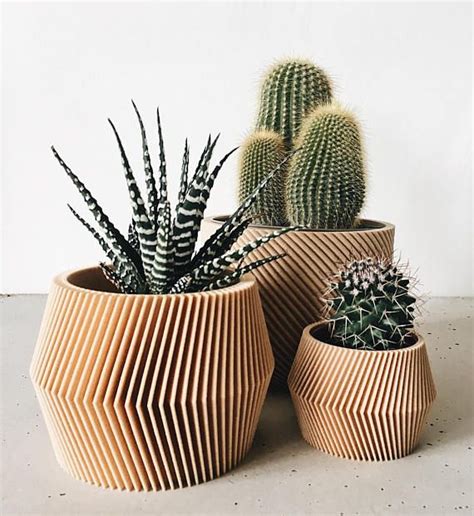 Wood (including driftwood and sticks) and wood roses (dried). Geometric indoor planter printed in Wood - DISSIPAT in ...