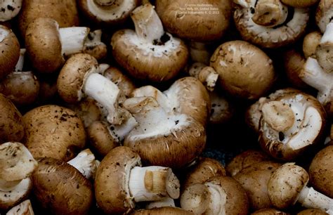 Cremini Mushrooms Carlos Bustamante Restrepo Flickr