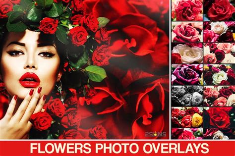 Flower Overlay Rose Overlays Photoshop Overlay Romantic Etsy