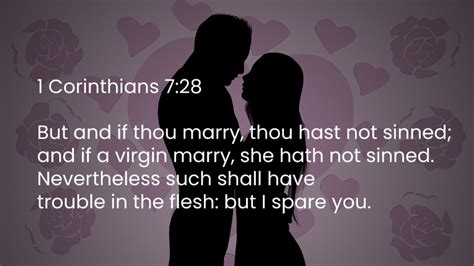 Bible Verses On Sex With Wife Photos