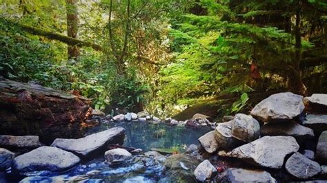 Adventures Of Soaking With Naked People At Terwilliger Hot Springs