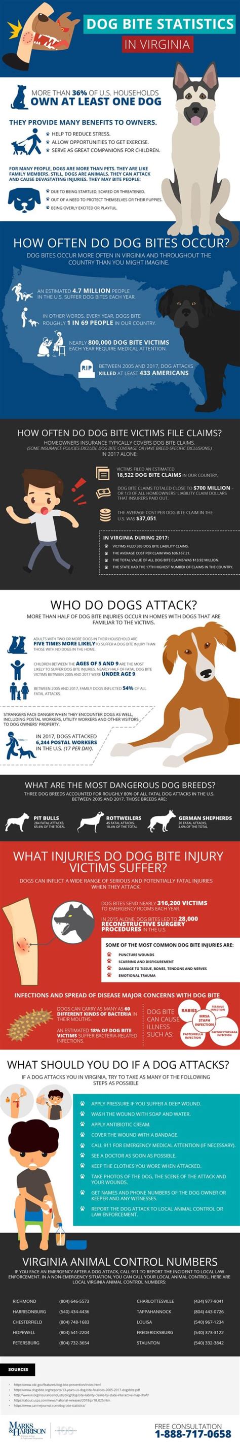 Statistics Infographic Dog Bite Statistics In Virginia