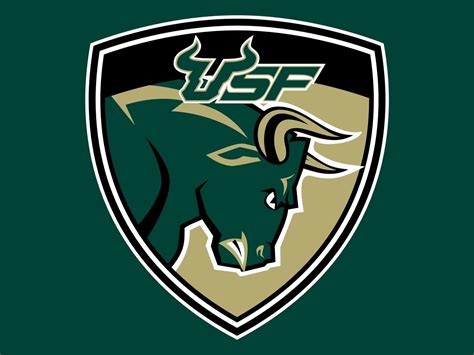 Pin Su University Of South Florida
