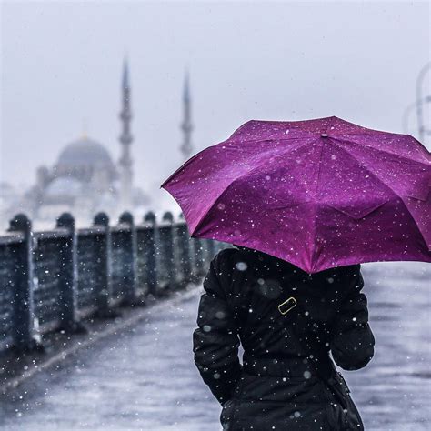 Turkey Snow Umbrella Purple 192397295003202 By Laurak89